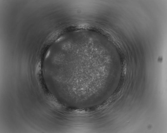 X0000116870502201001121304