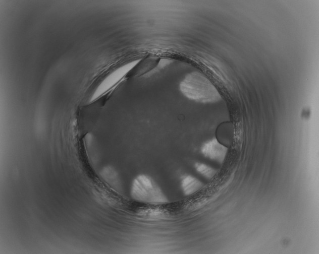 X0000116870503201001121304