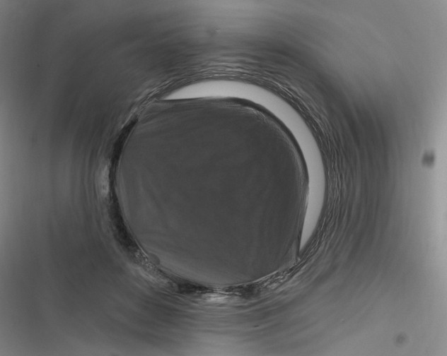 X0000116870504201001121304