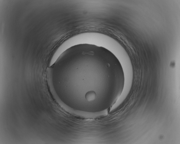 X0000116870505201001121304