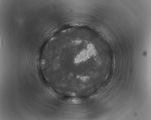 X0000116870506201001121304