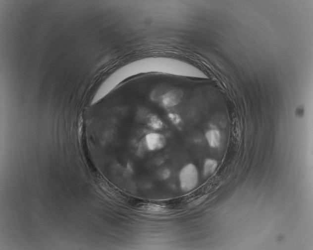 X0000116870507201001121304