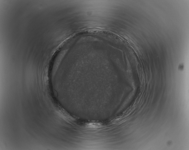 X0000116870508201001121304