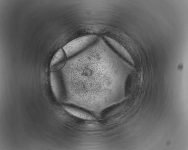 X0000116870510201001121304