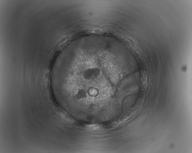 X0000116870511201001121304