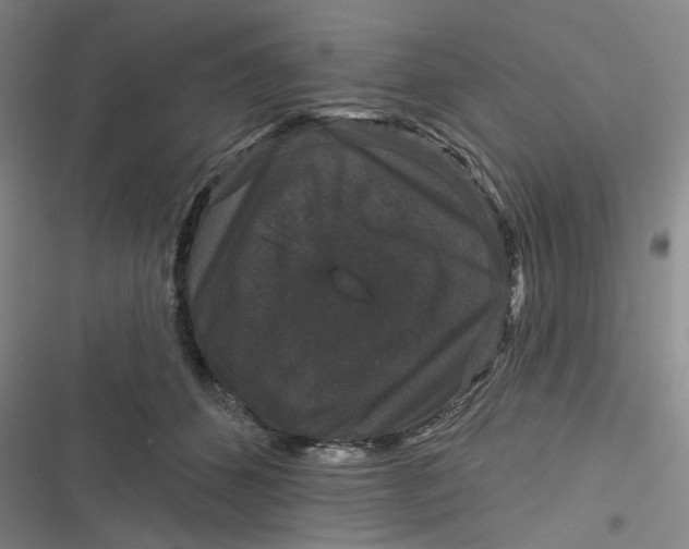 X0000116870512201001121304