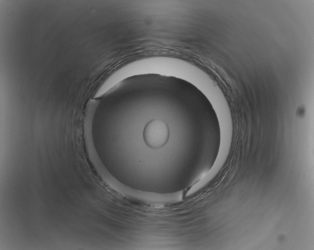 X0000116870513201001121304