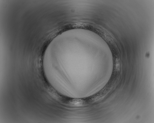 X0000116870514201001121304