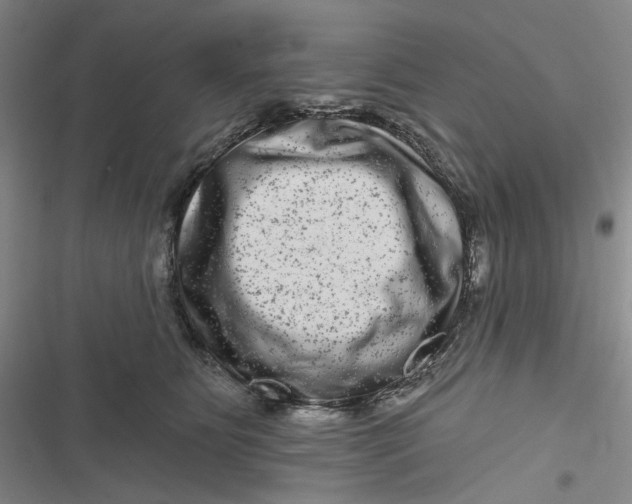 X0000116870515201001121304