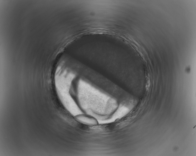 X0000116870516201001121304