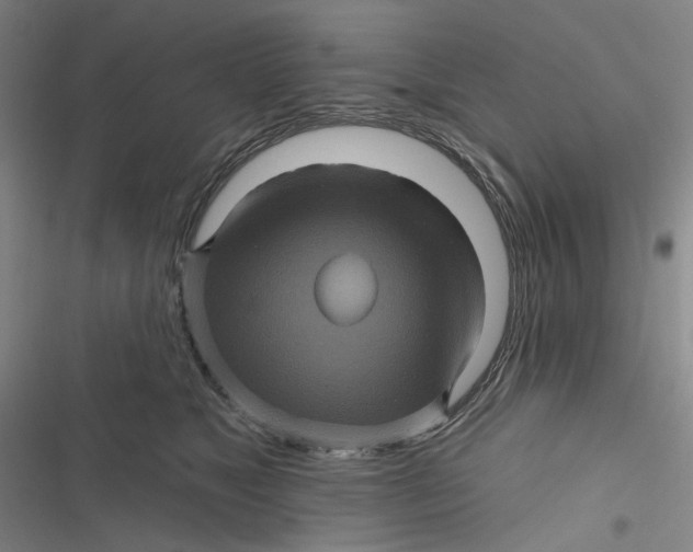 X0000116870517201001121304