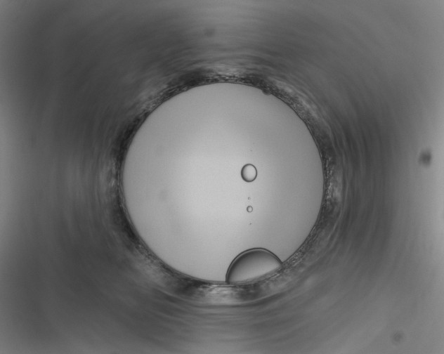 X0000116870518201001121304