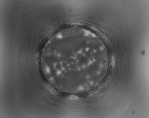 X0000116870519201001121304