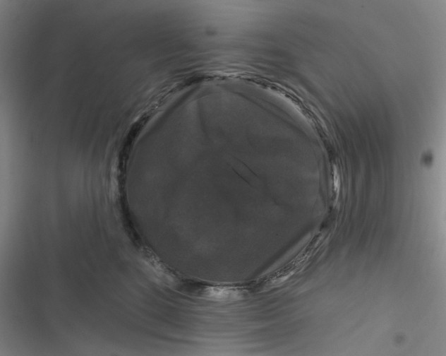 X0000116870520201001121304