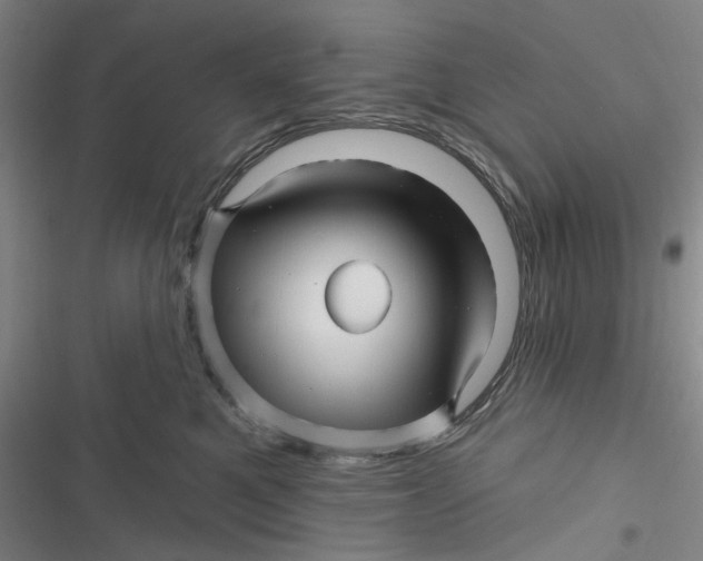 X0000116870521201001121304