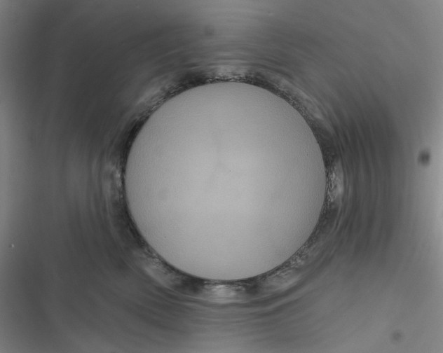 X0000116870522201001121304