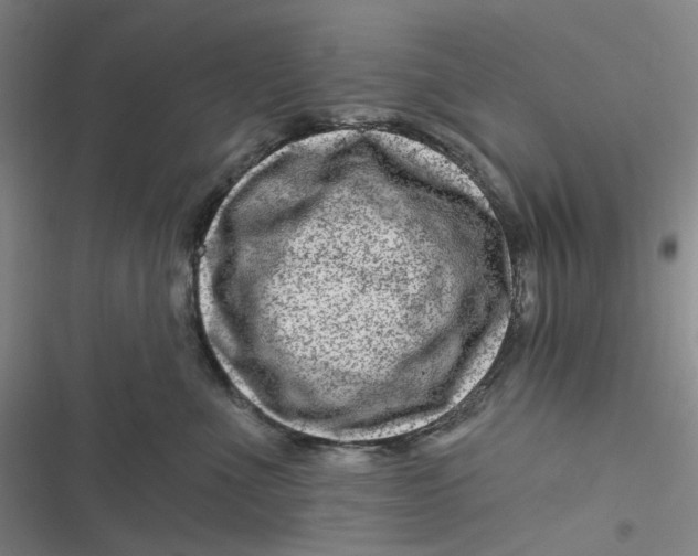 X0000116870523201001121304