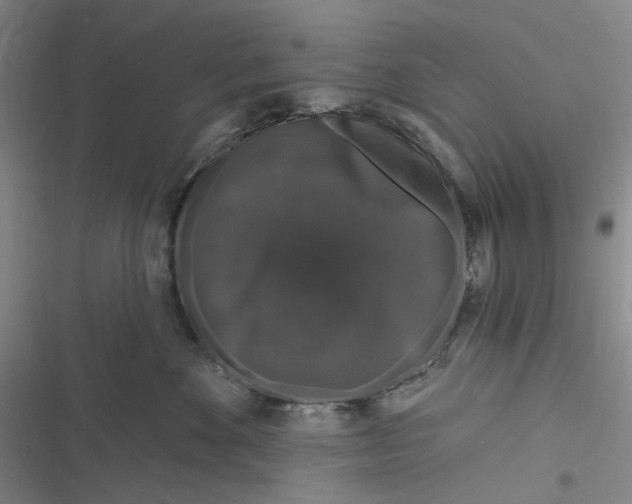 X0000116870524201001121304