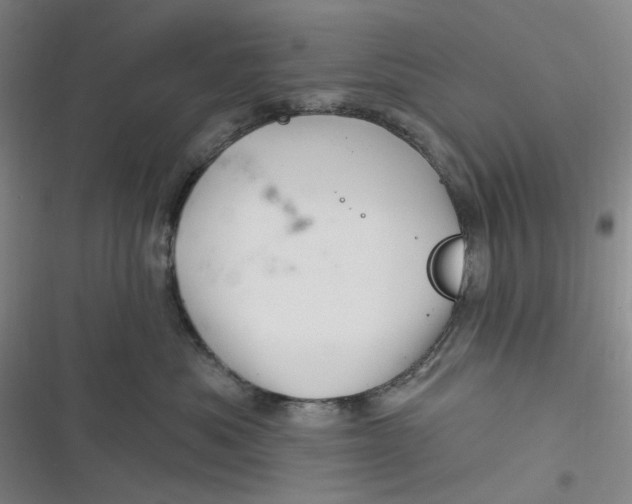 X0000116870525201001121304