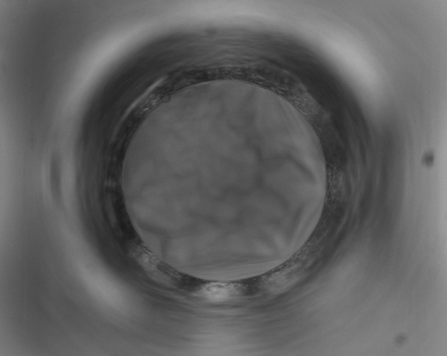 X0000116870526201001121304