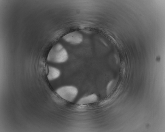 X0000116870527201001121304