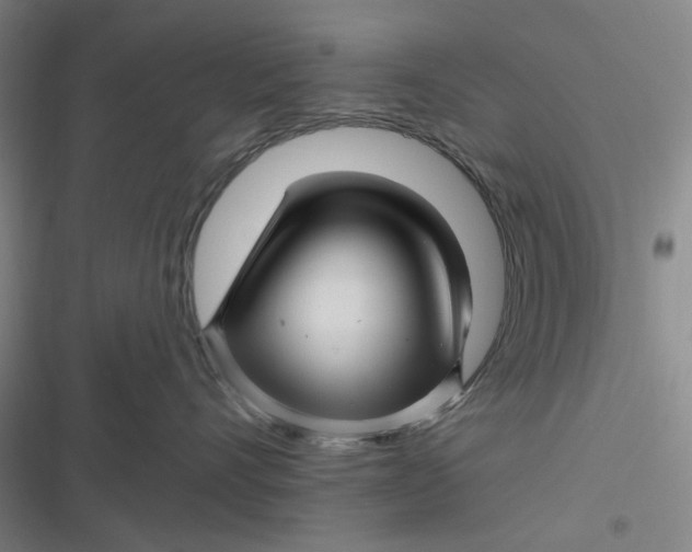 X0000116870528201001121304