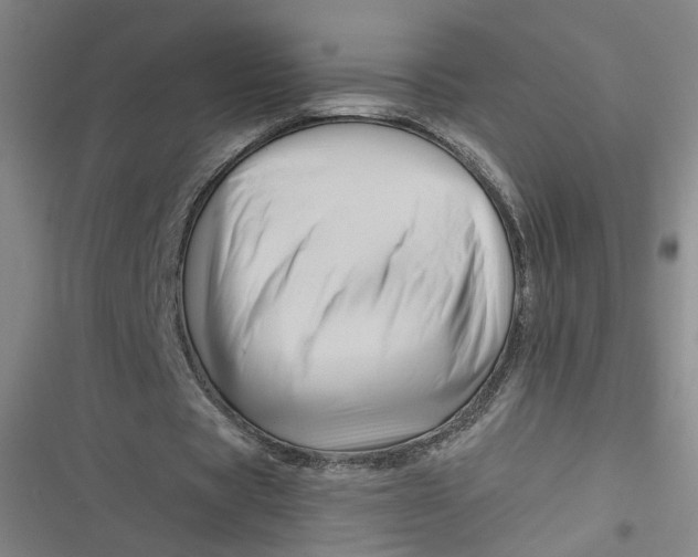 X0000116870529201001121303