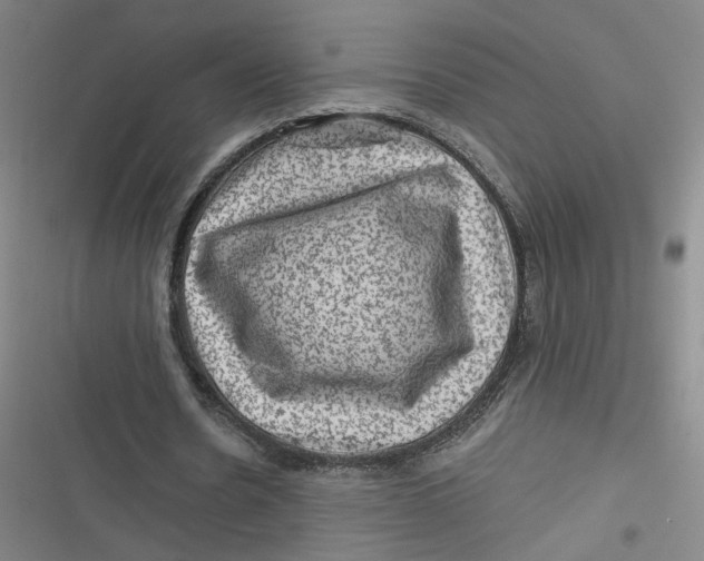 X0000116870530201001121303