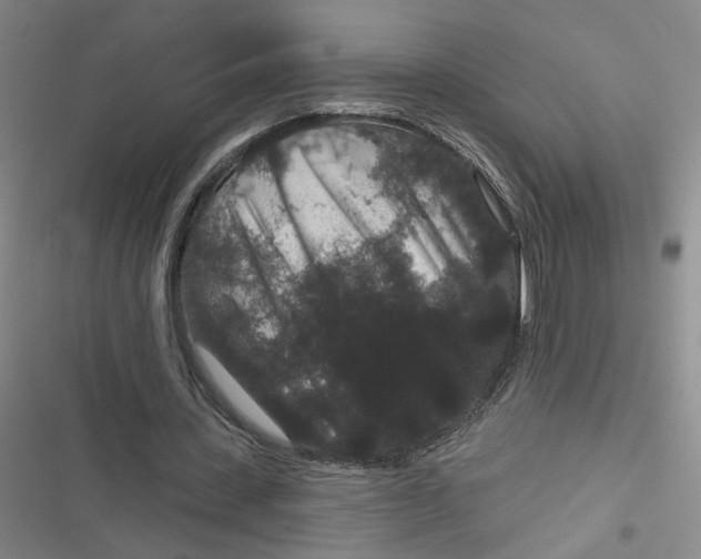 X0000116870531201001121303