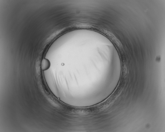 X0000116870533201001121303