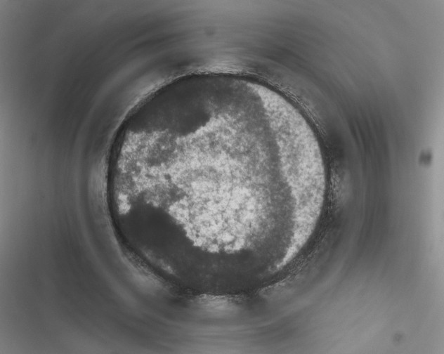 X0000116870534201001121303