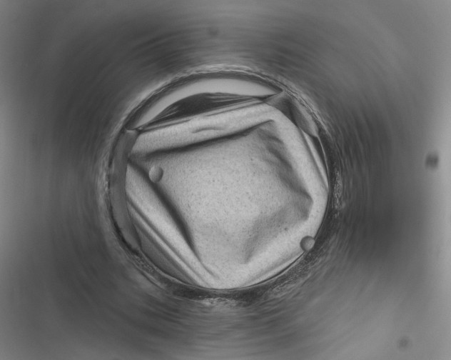 X0000116870535201001121303