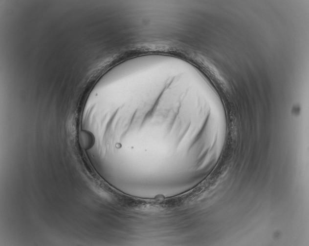 X0000116870537201001121304