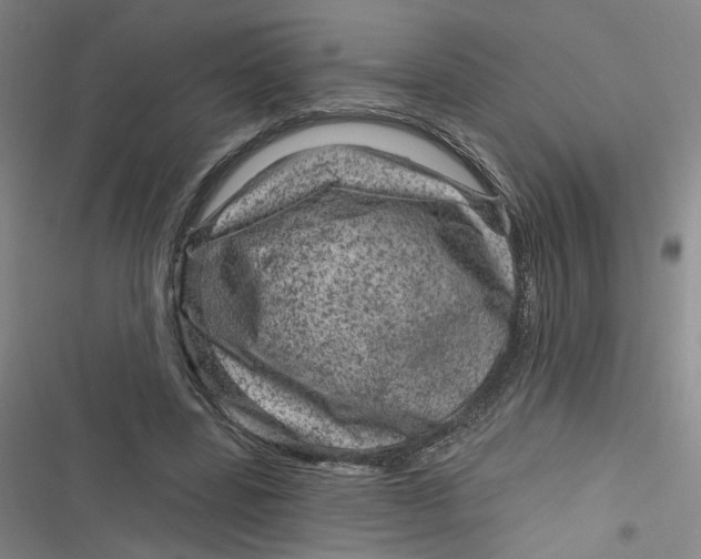 X0000116870539201001121304