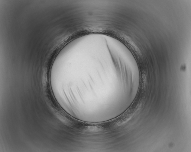 X0000116870541201001121304