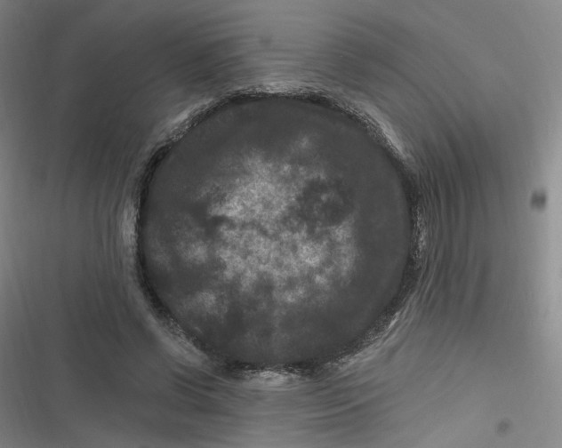 X0000116870542201001121304