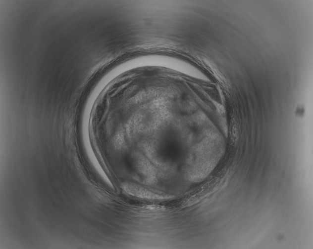 X0000116870543201001121304