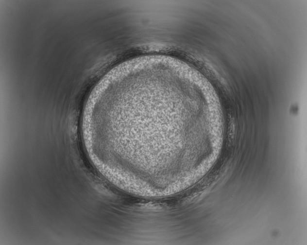 X0000116870545201001121304