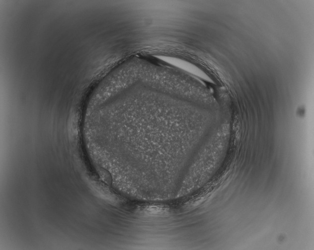 X0000116870546201001121304