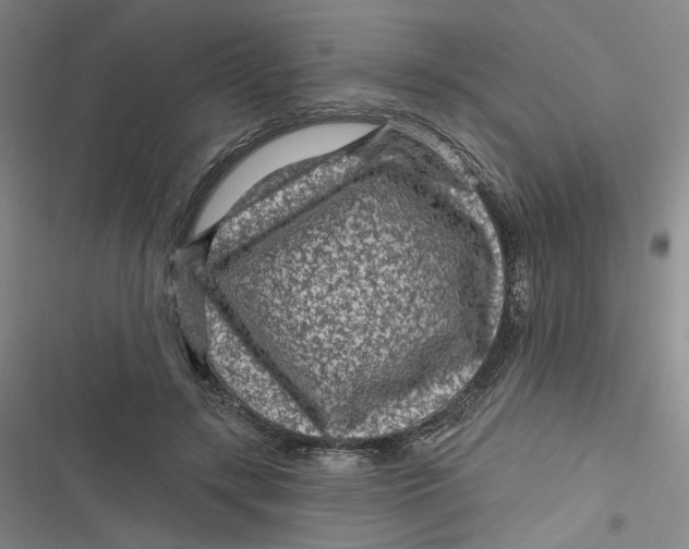 X0000116870547201001121304