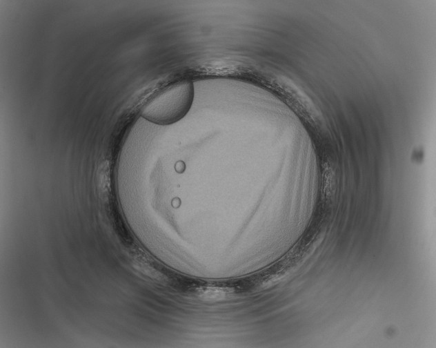 X0000116870549201001121304