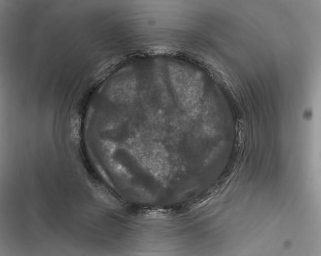 X0000116870550201001121304