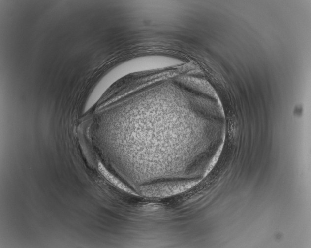 X0000116870551201001121304