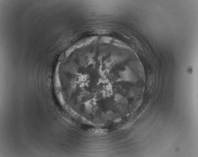 X0000116870553201001121304