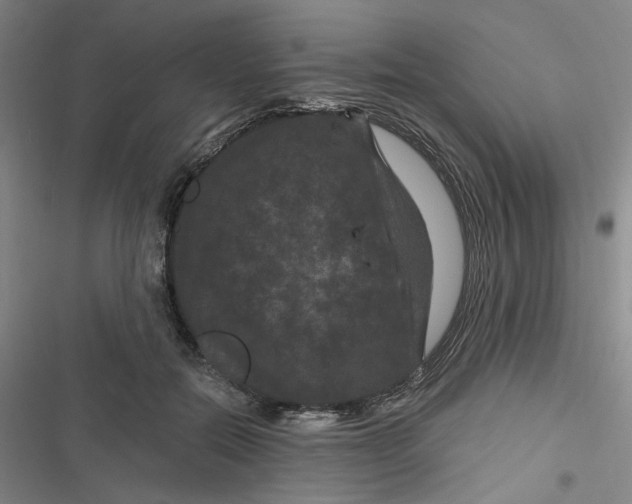 X0000116870554201001121304