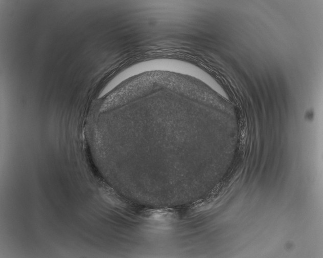 X0000116870555201001121304