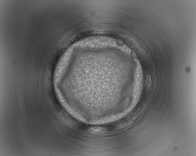 X0000116870557201001121304