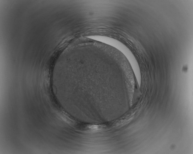 X0000116870558201001121304