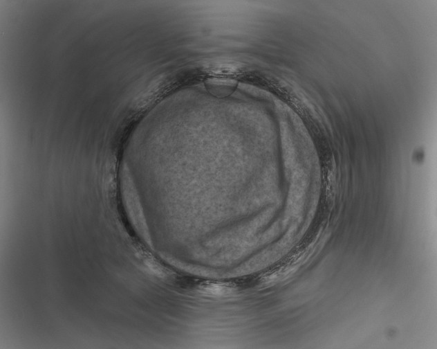 X0000116870561201001121304