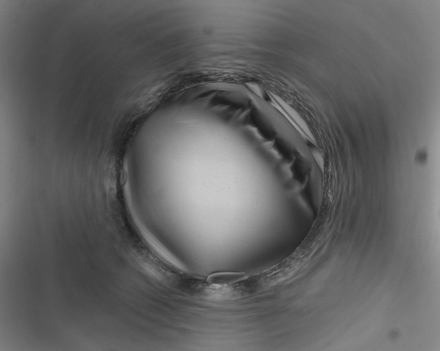 X0000116870562201001121304